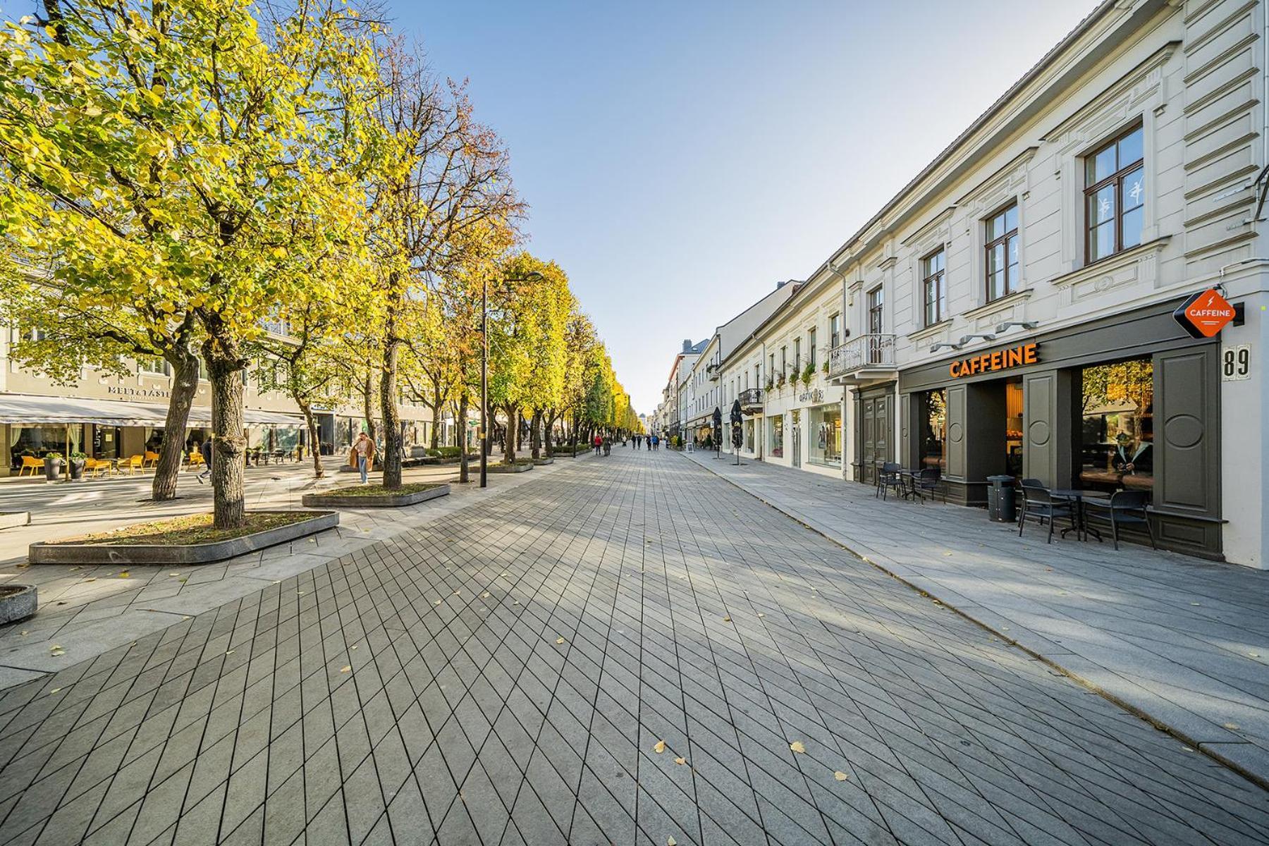 Central Park Apartments - The Luxury Collection Kaunas Exterior foto